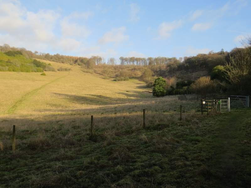 Pete's Walks Cowleaze Wood, Studdridge Farm, Christmas Common (page 5